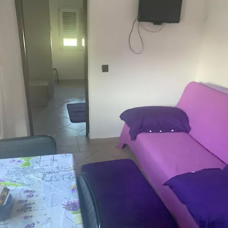 Lory Krk * クルク